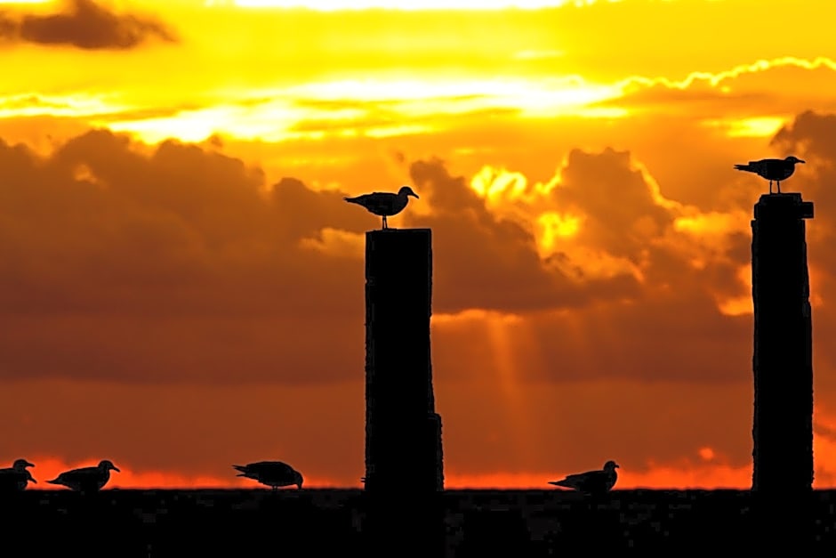 Hotel Pannenkoekhuis Vierwegen