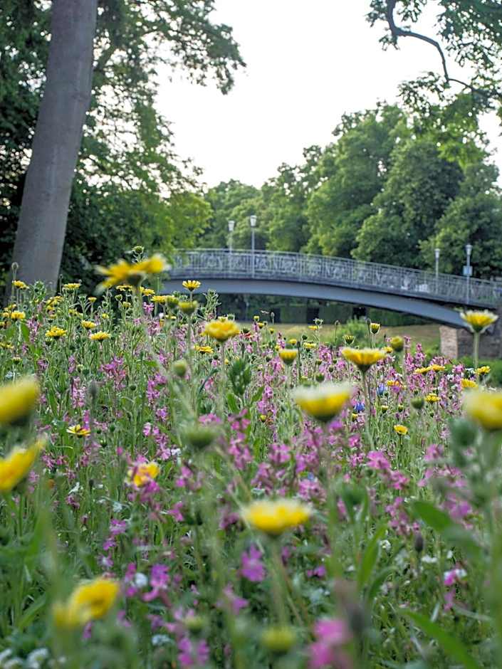 Aparthotel am Kurpark