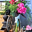 Hotel rural Finca Vivaldi Nature & Spa