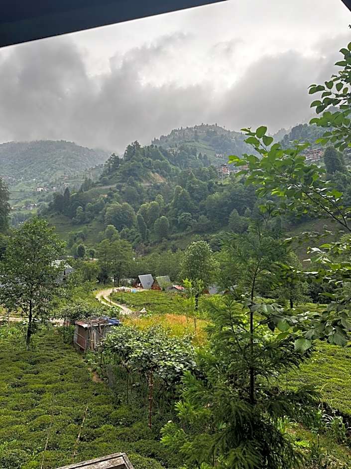 Tanura Bungalows