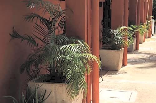 Andrea´s Tulum