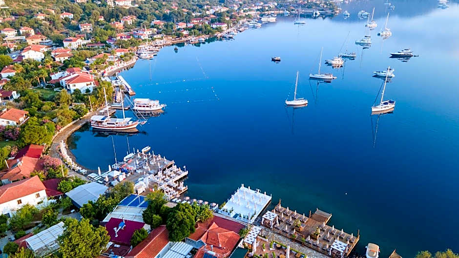 Luna Begonvil Tas Evler