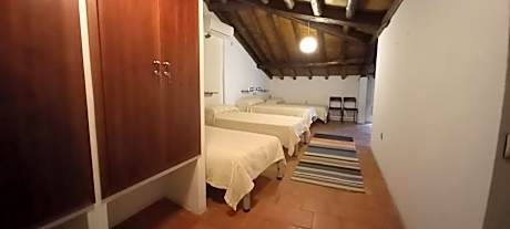 Single Bed in 6-Bed Dormitory Room