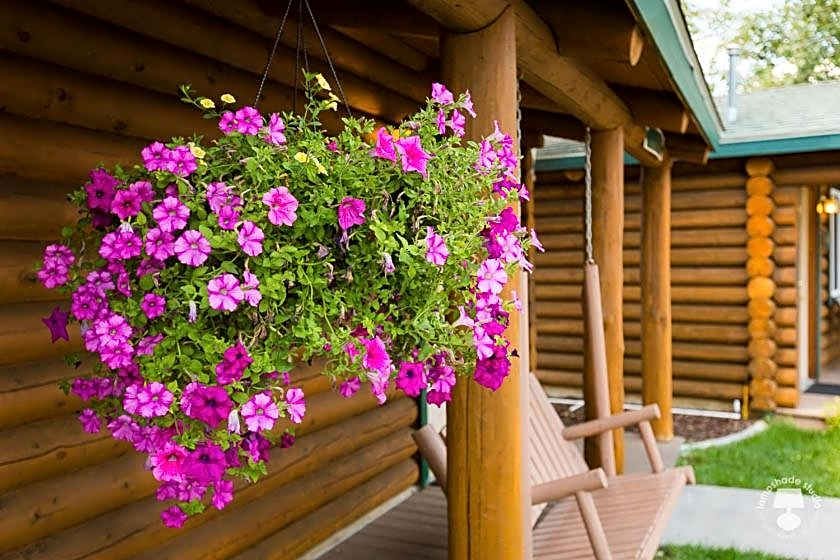 Cabin Creek Inn