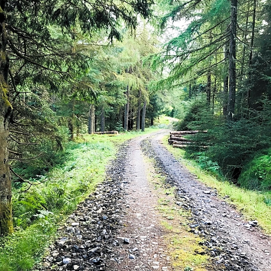Woodside Logcabin Ardoch Lodge