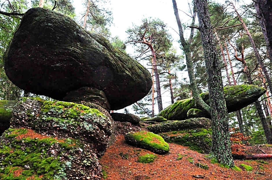 Logis Hôtel - Restaurant Aux Bruyères