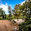Villa Anitori Prestige Relais & Spa