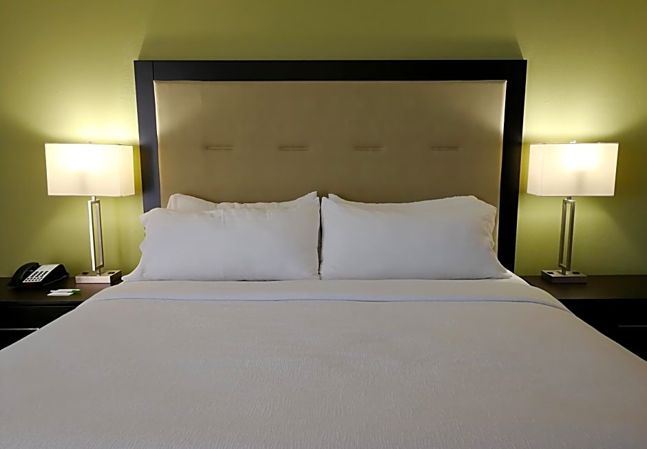 Holiday Inn Corpus Christi Downtown Marina, an IHG Hotel