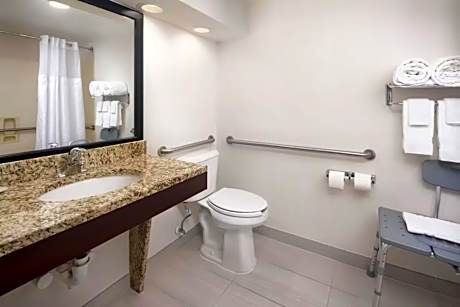 1 King Bed, Nonsmoking, Accessible