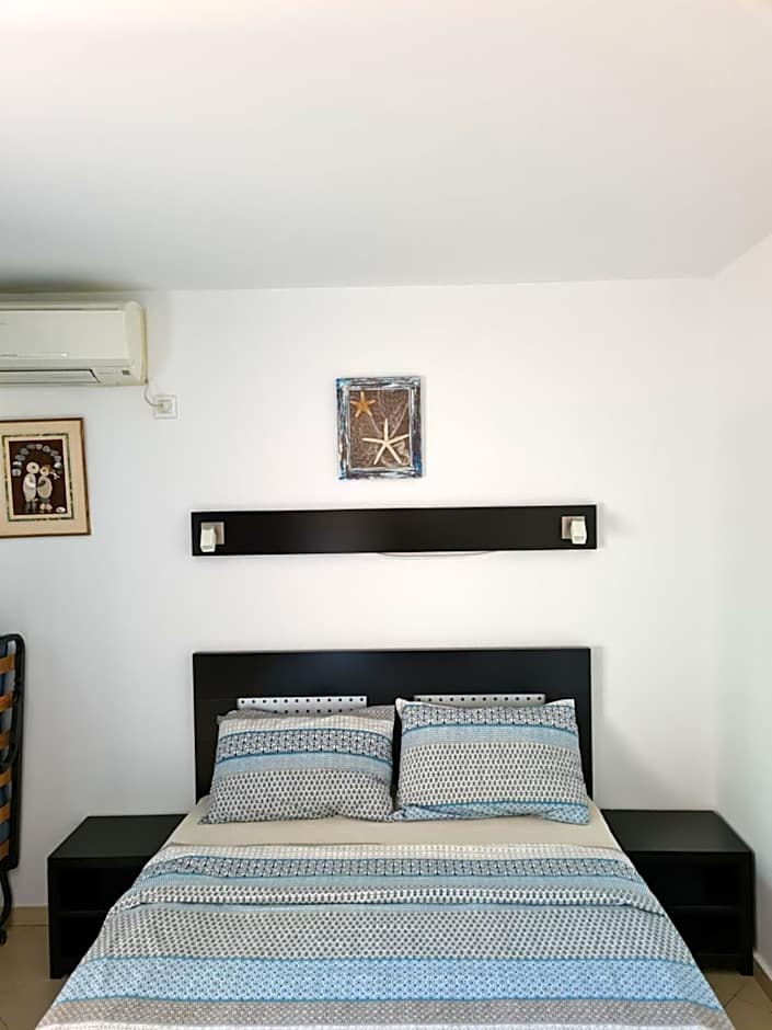 Vila Dini(La Rogojini)