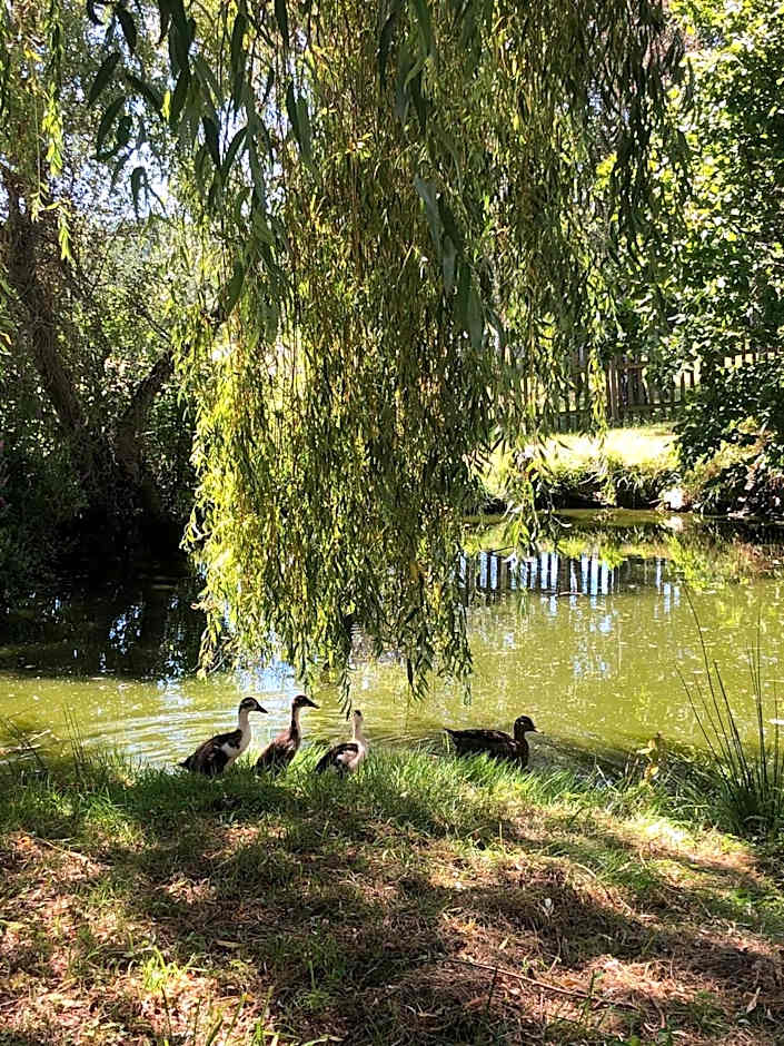 Chambres D'hotes De La Mure