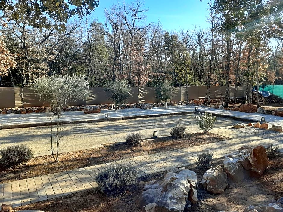 Authentique mas avec piscine en Provence