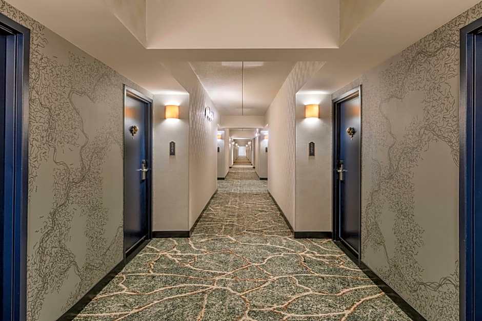 The Mecklen Hotel, a Tribute Portfolio™ Hotel