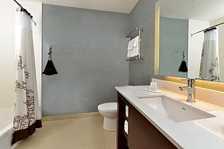 Suite, 1 Bedroom (1 King Bed and 1 Double Sofa Bed)