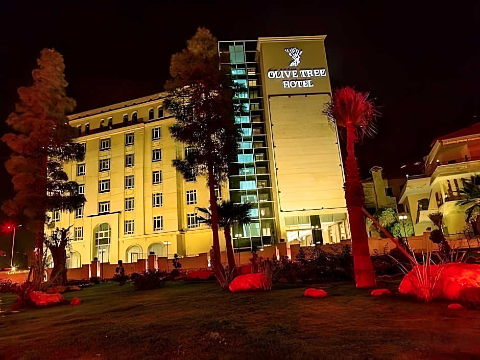 Olive Tree Amman