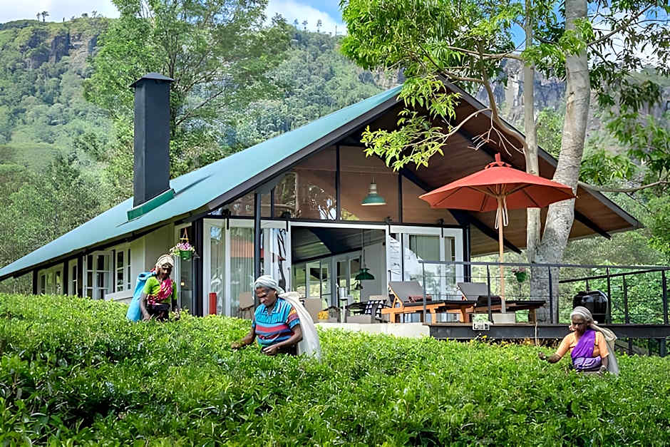 Madulkelle Tea and Eco Lodge