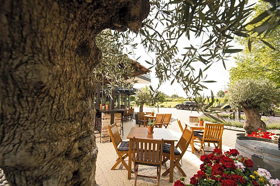 Carathotel Basel/Weil am Rhein