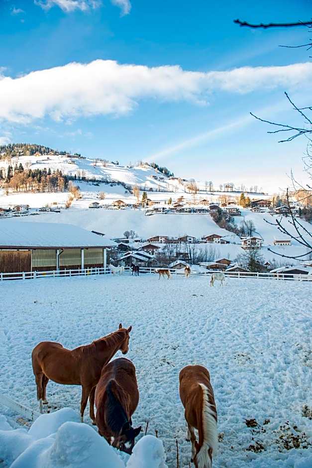 Hotel Der Wastlhof - direkt an der Skipiste Wellness & Spa