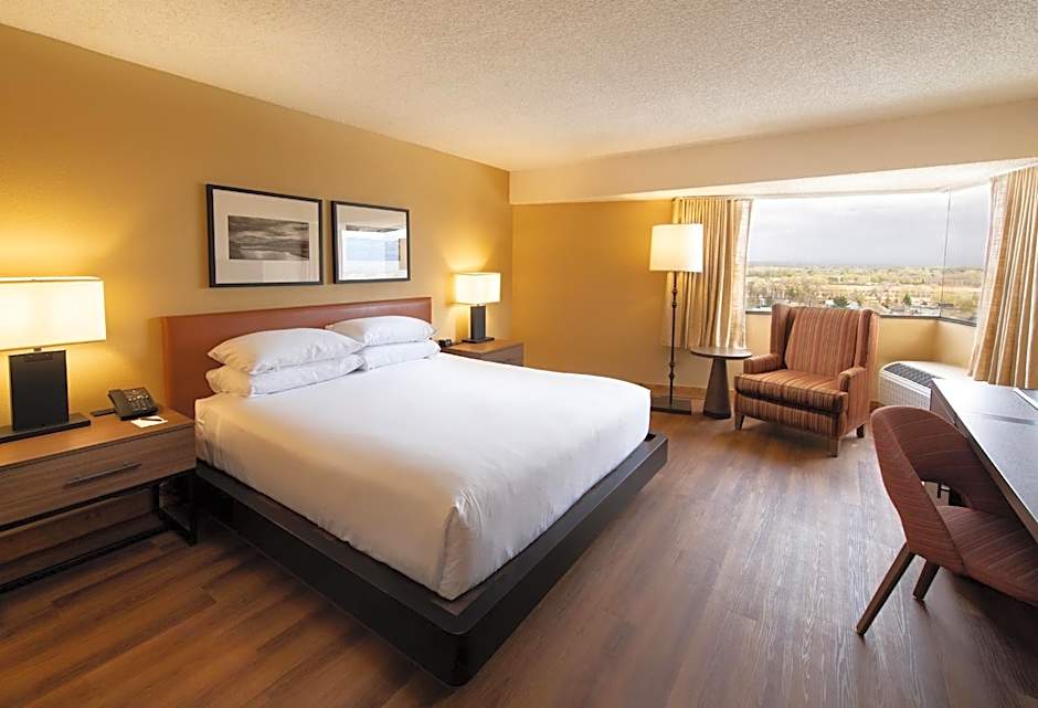 1 King Bed, Accessible — 3 fotoğraftan 1. fotoğraf