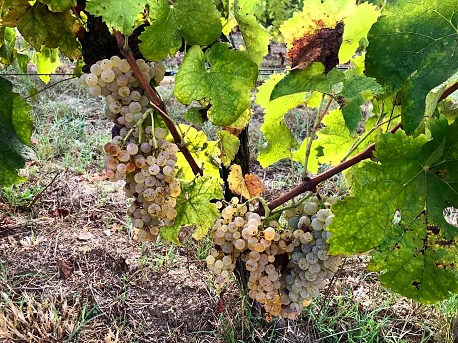 Casale Caterina Agriresort