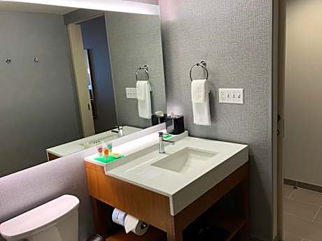 King Room with Roll-In Shower - Disability Access