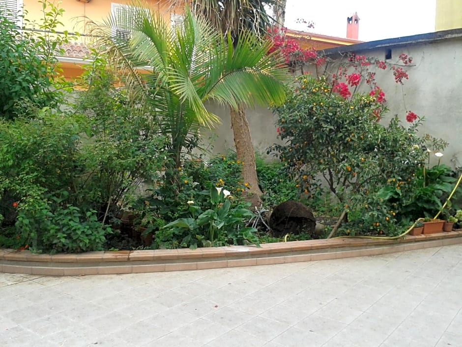 Bed and Breakfast Le petunie