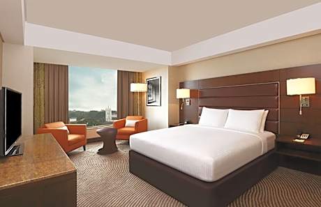 One-Bedroom King Suite
