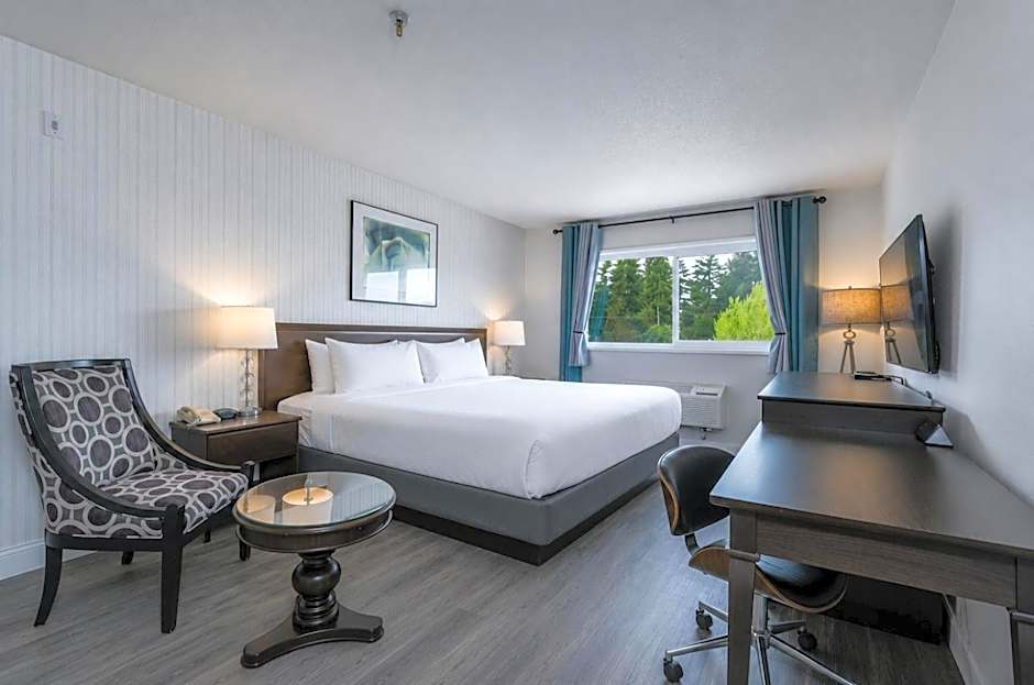 Hotel International