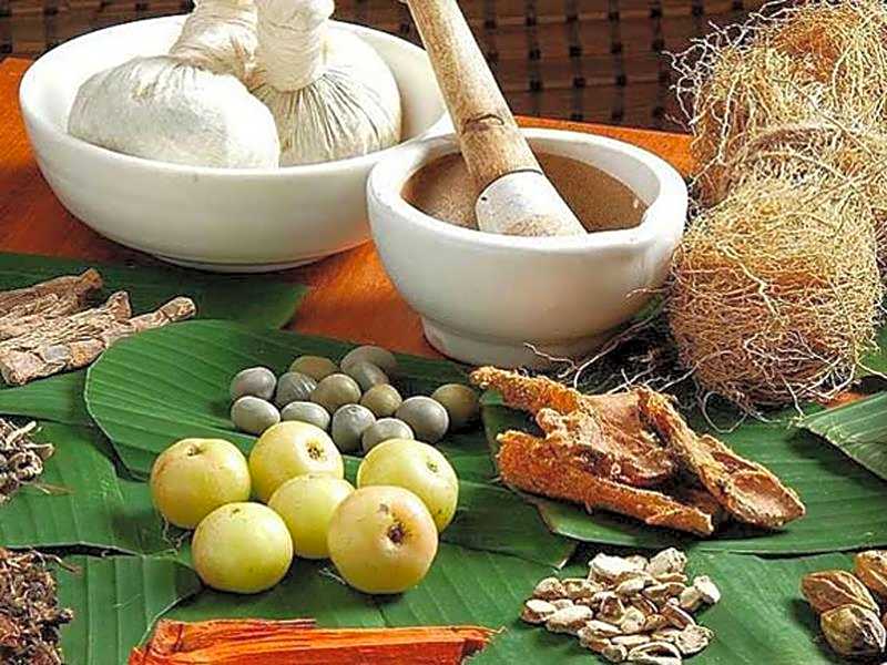 Little Paradise Guest House