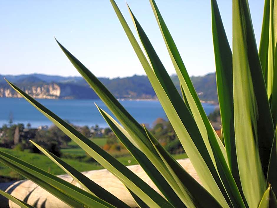 Ohuka Place Homestay