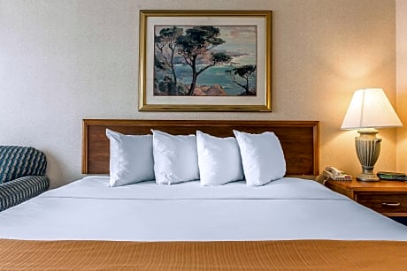 1 King Bed, Nonsmoking
