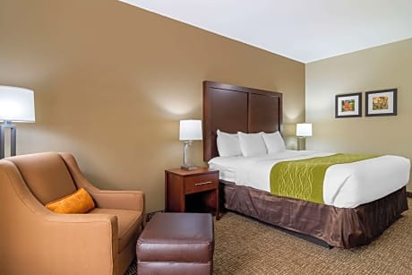 1 King Bed, Nonsmoking, Accessible