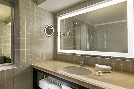 Premium Room, 1 King Bed, City View