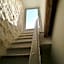 B&B Murex