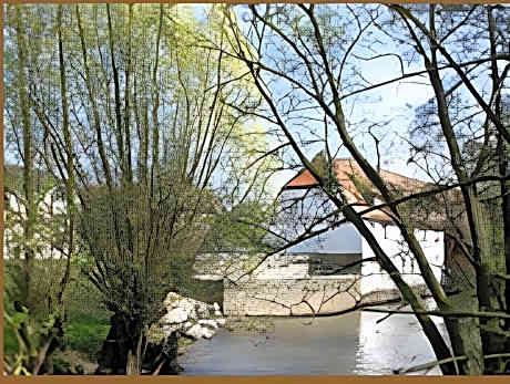 Hotel Brauhaus Wiesenmuhle
