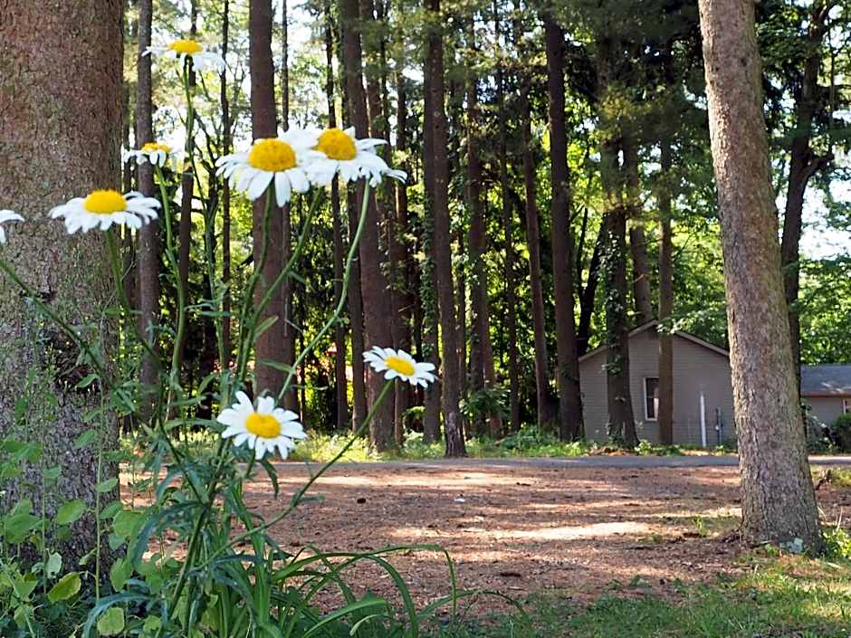 Woodfield Manor - A Sundance Vacations Property