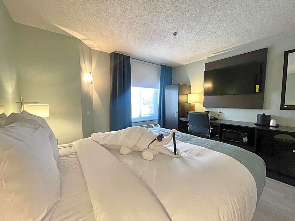 Wingate by Wyndham Salisbury