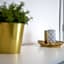 Wellness Apartmány Vila Republika