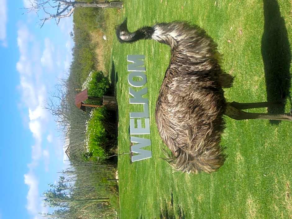 Thali Thali Game Lodge