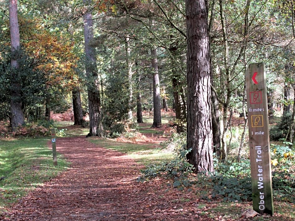 Albertine ,A warm welcome awaits you ,Offering room only or bed and breakfast ,Ideal location for Solent Way ,High Street ,Isle of Wight ,New Forest