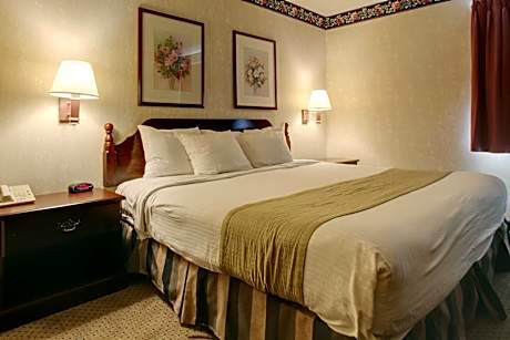 1 King Bed Deluxe Suite NS