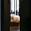 Hotel Sin Nombre