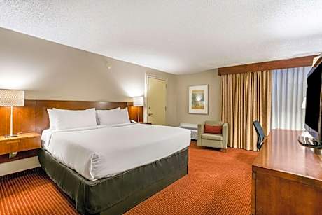 Large King Room - Non-Smoking