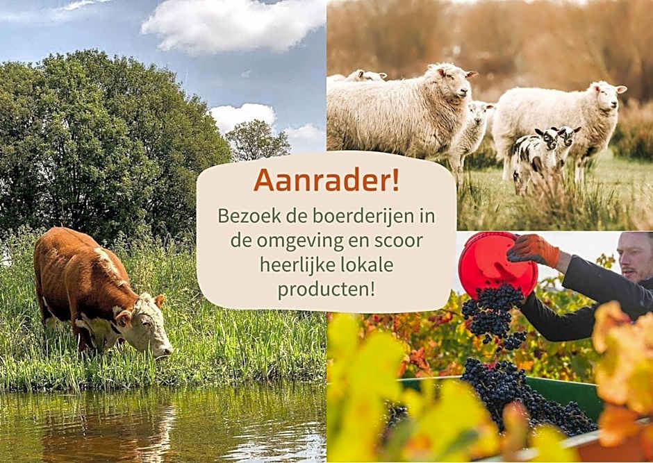Vakantiepark Hölte