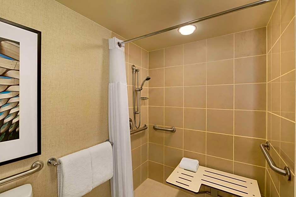 Hilton Chicago/Magnificent Mile Suites