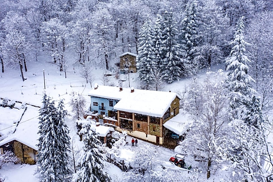 B&B IDUEVAGAMONDI immerso nel bosco tra le MONTAGNE con area benessere come EXTRA
