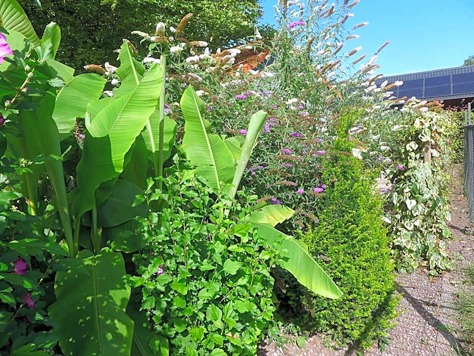 B&B De Kleine Wijngaard
