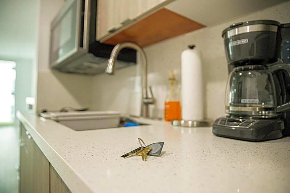 Modern and Luxurious Brickell Studio