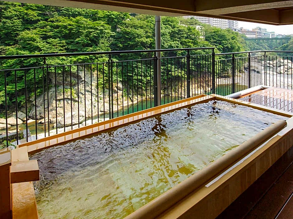 Kinugawa Plaza Hotel