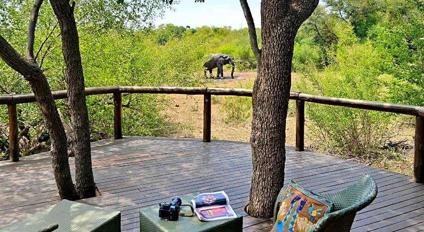 Motswiri Private Safari Lodge